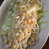 キャベツ&もやしの大豆天かすサラダ
